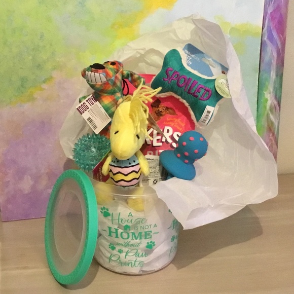 Other - Easter Basket for a small dog light chewer